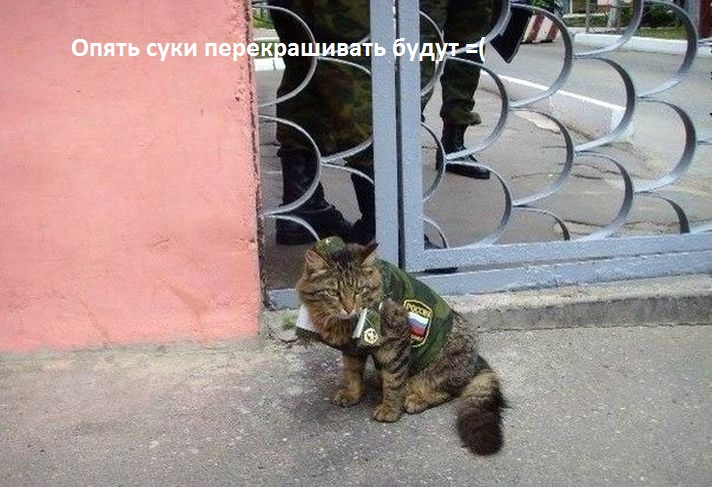 OEjKN.jpg