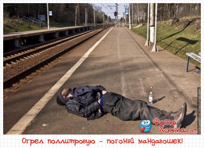 ogrel-pollitrovuyu-pogonyaj-mandavoshek.jpg