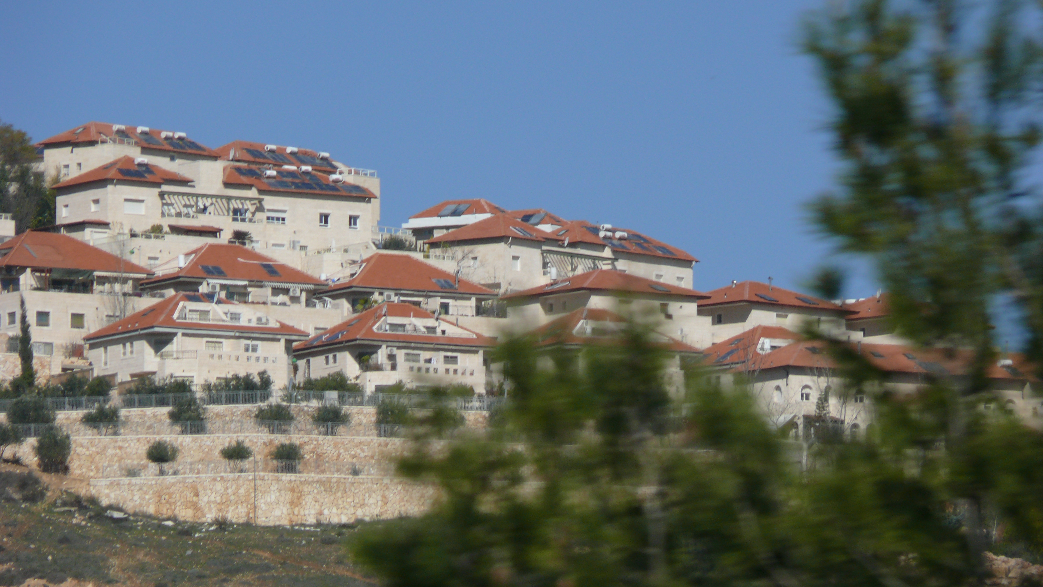 P1010067.JPG