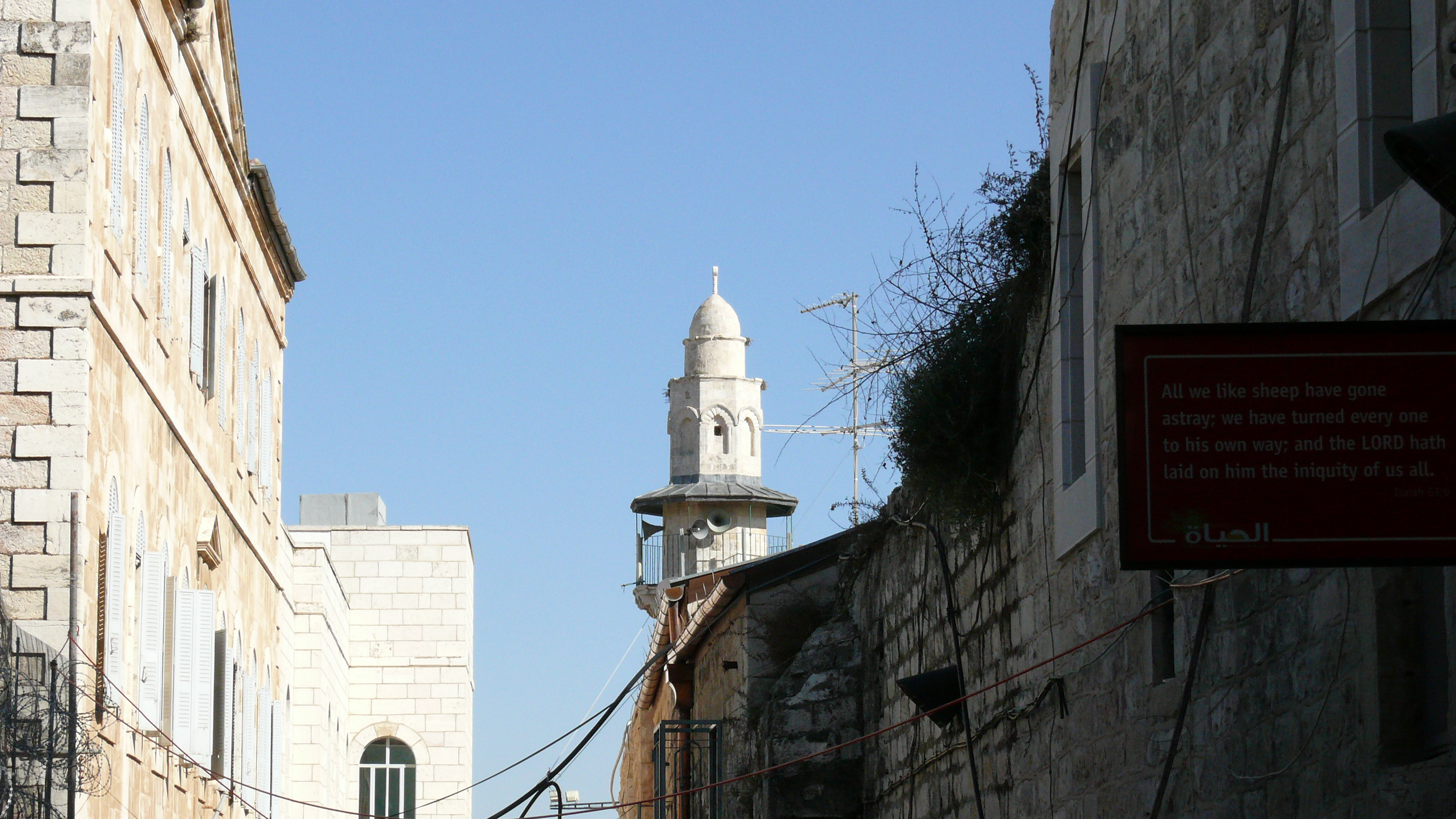 P1010104.JPG