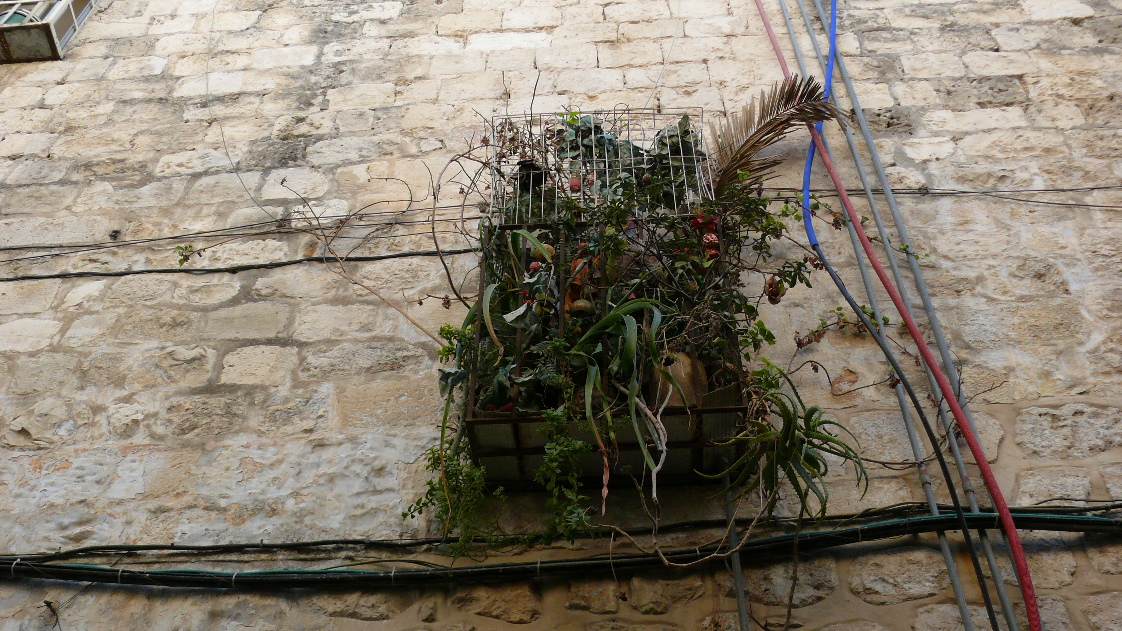P1010106.JPG