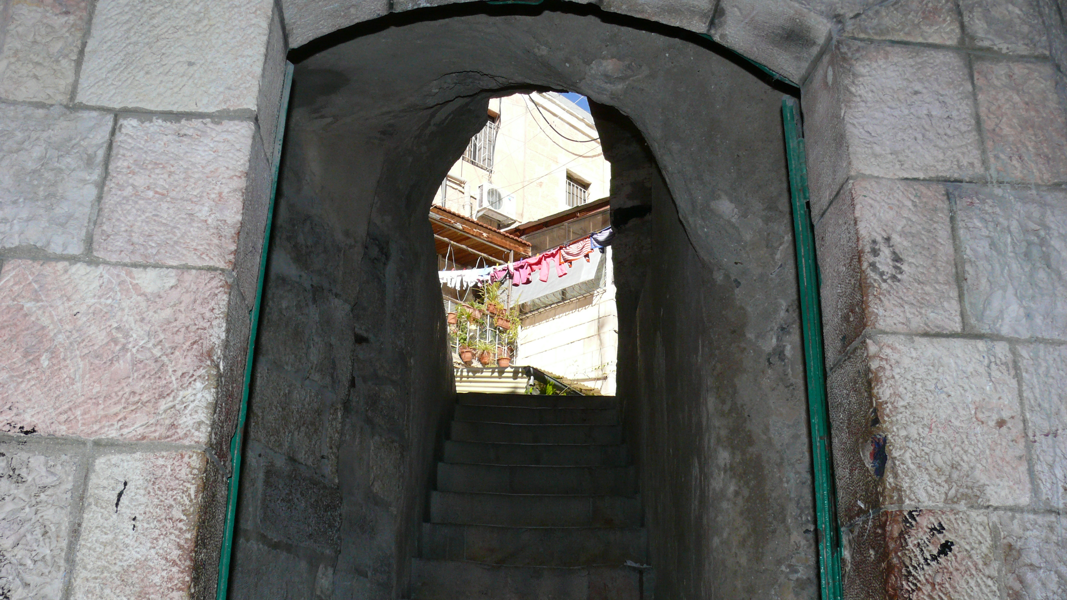 P1010109.JPG