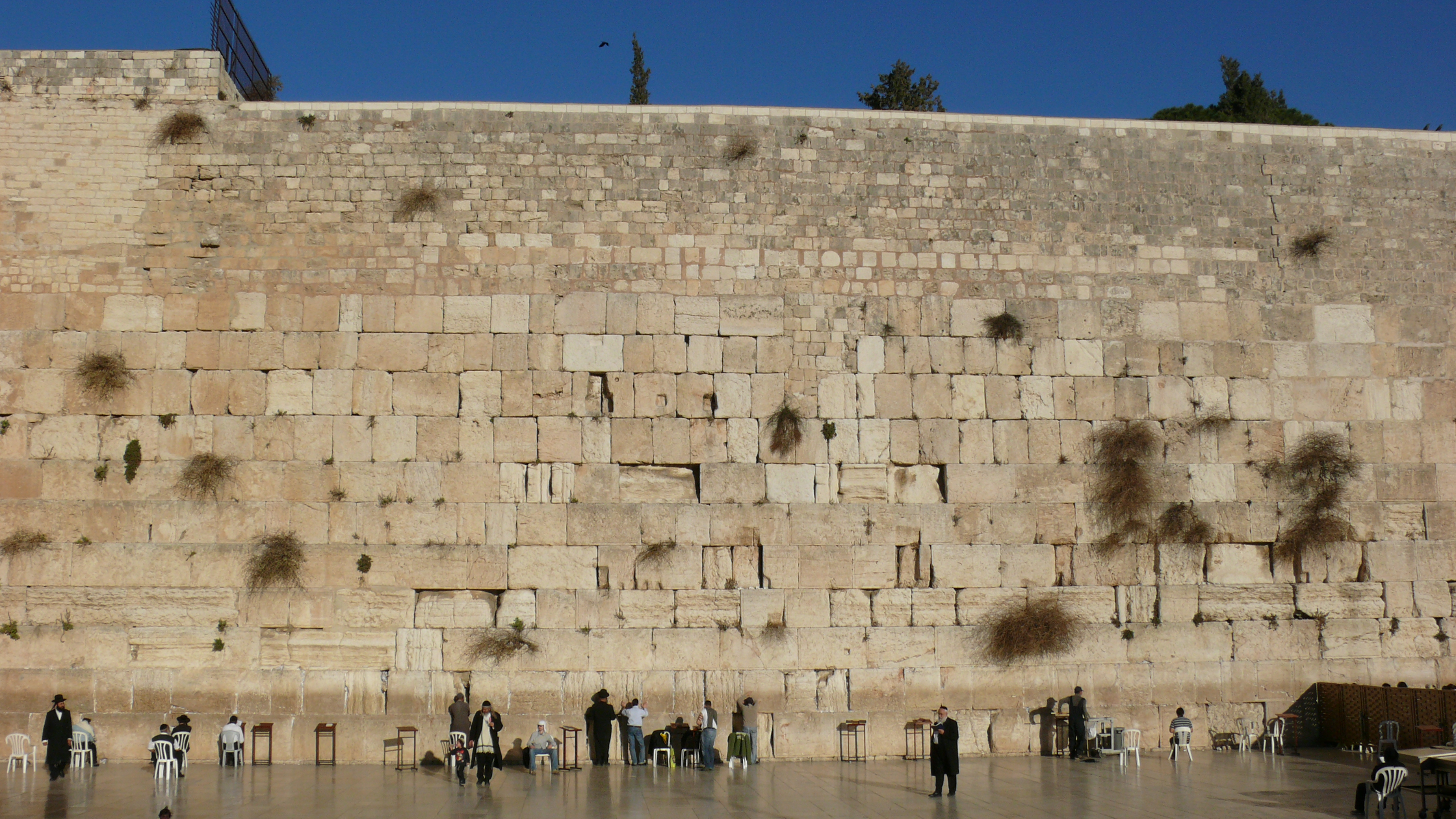 P1010155.JPG