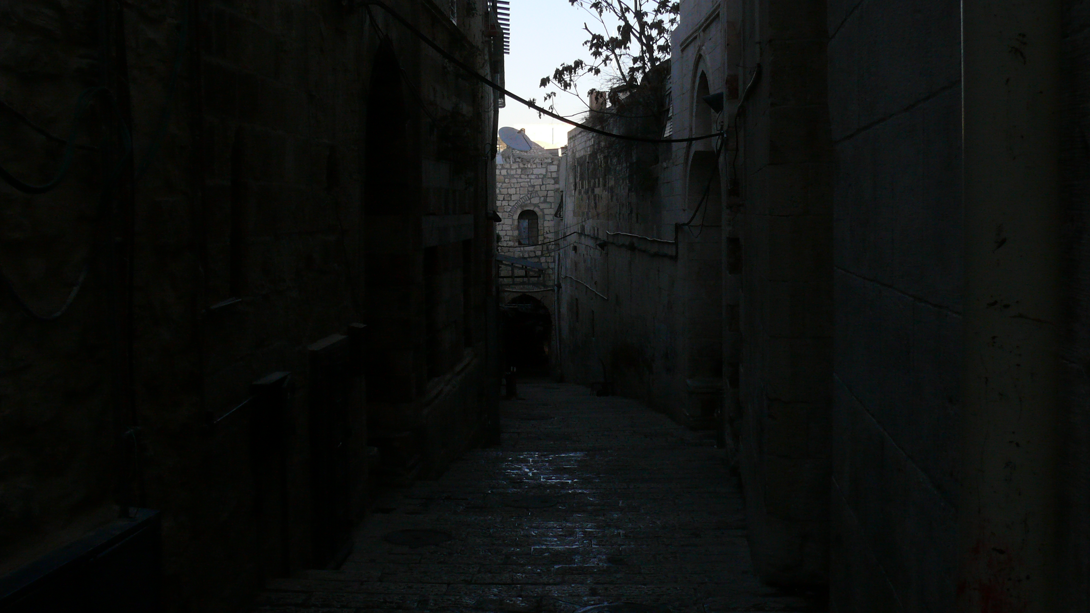 P1010164.JPG