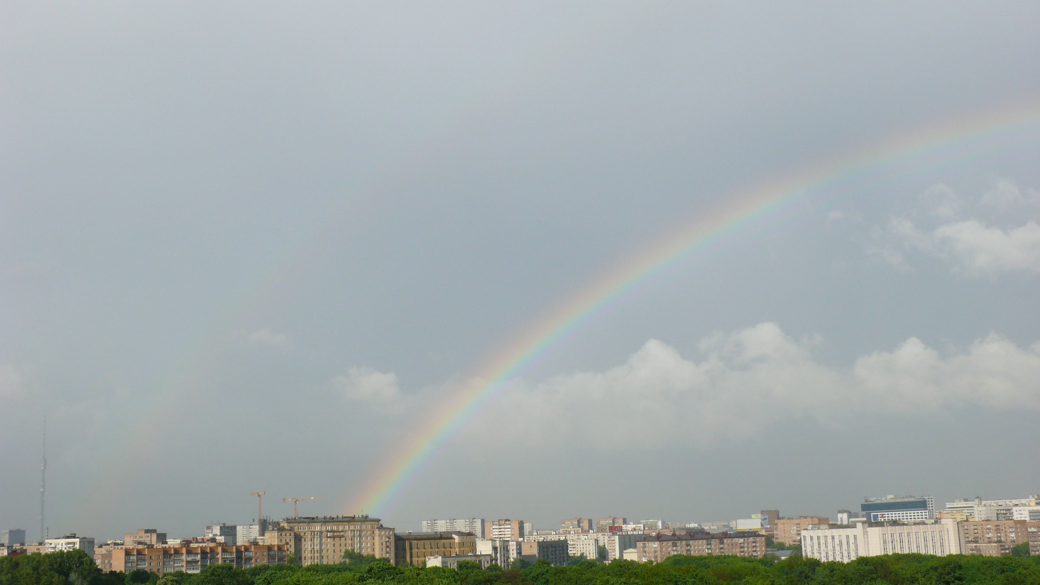 P1010294.JPG