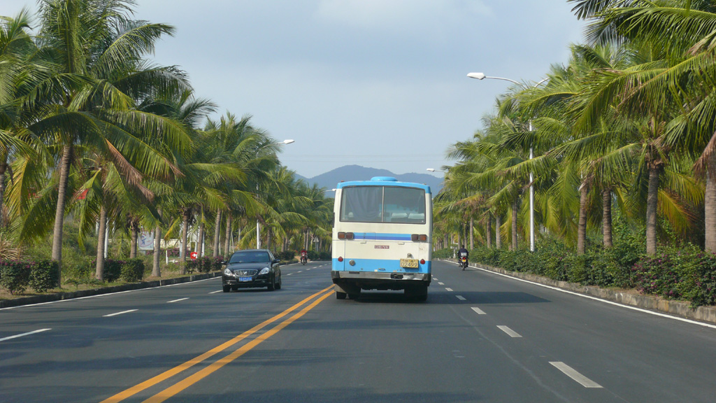 P1020637.jpg