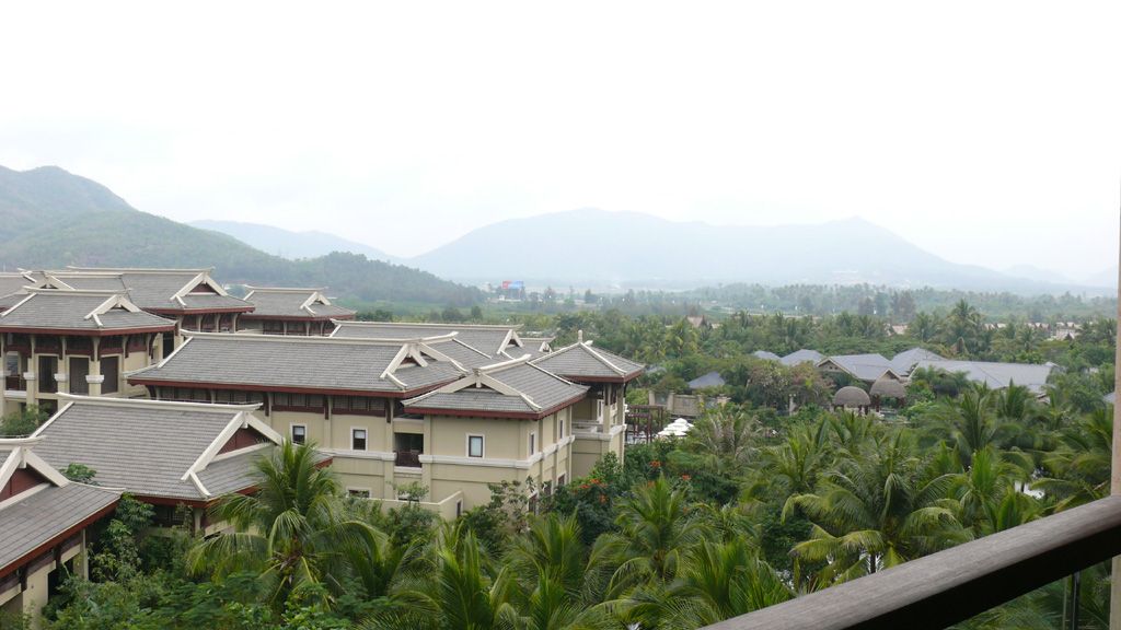 P1020744.jpg