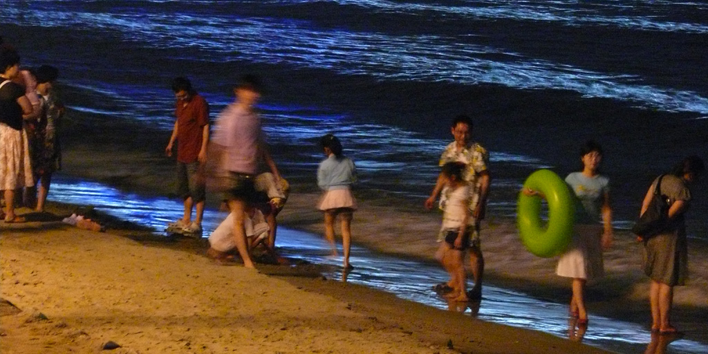 P1020792.jpg
