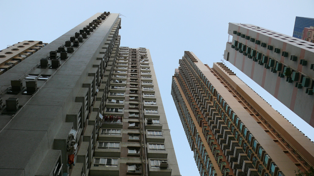 P1030190.jpg