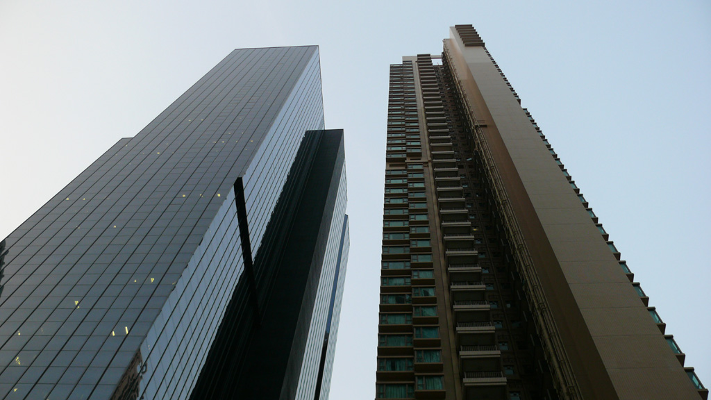 P1030197.jpg