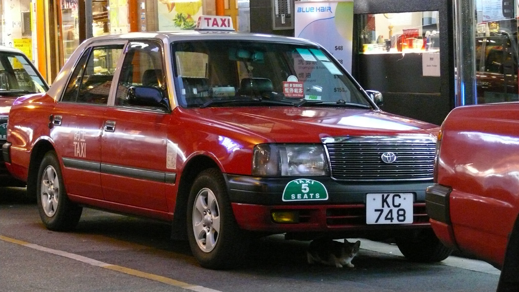 P1030207.jpg