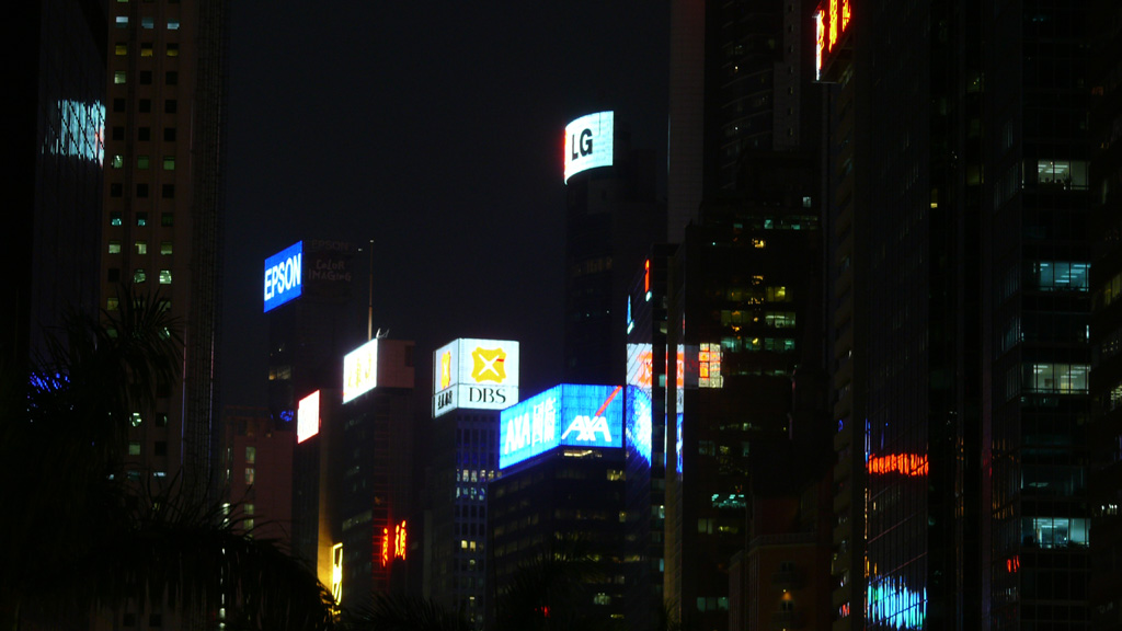 P1030216.jpg