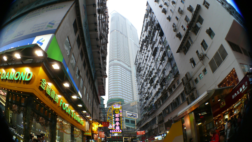 P1030556.jpg