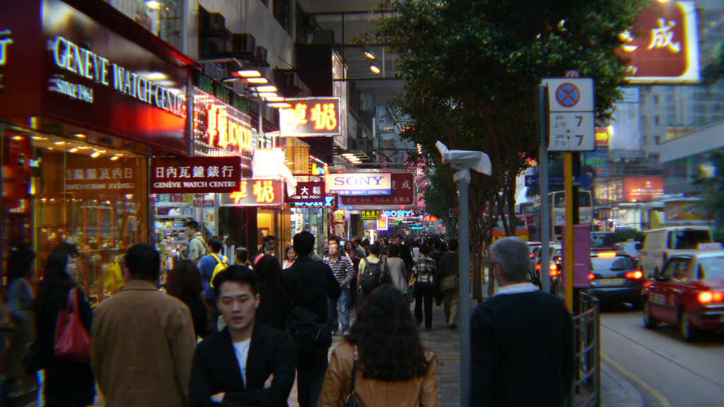 P1030557.jpg