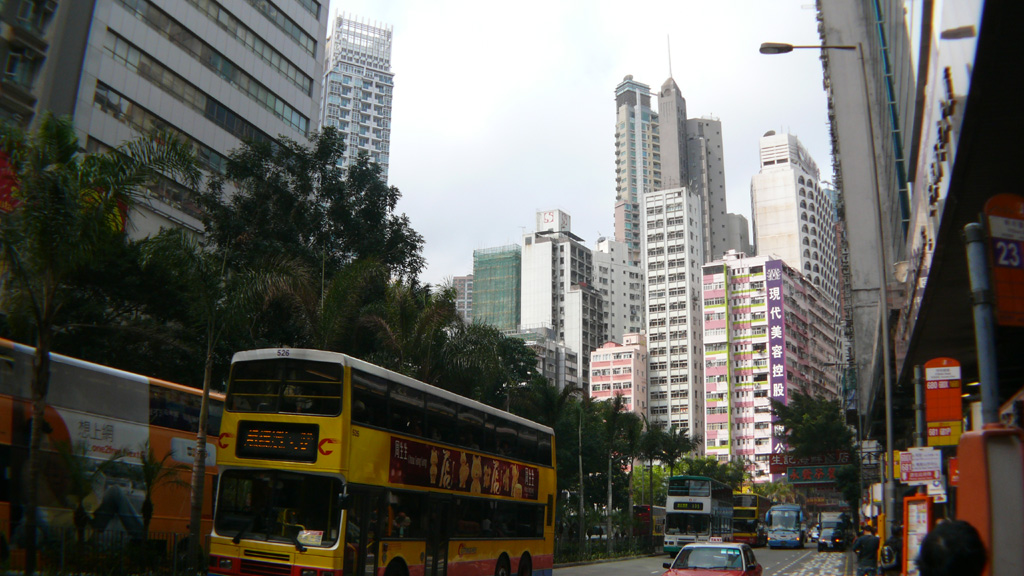P1030736.jpg