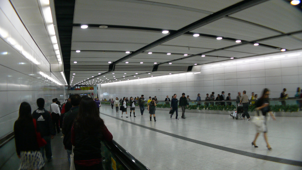 P1030747.jpg