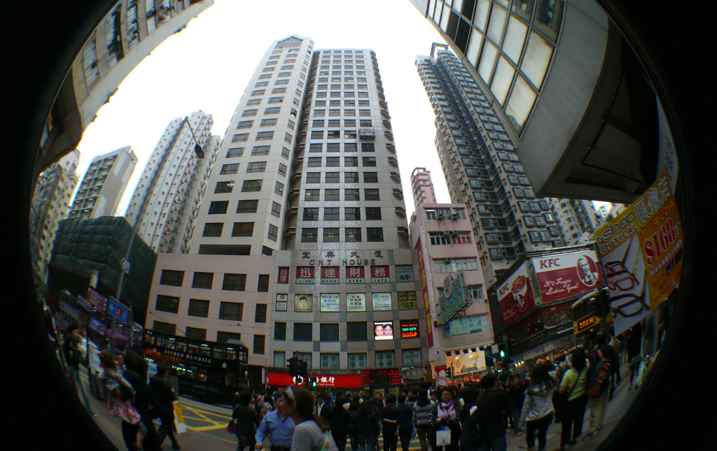P1030853.jpg