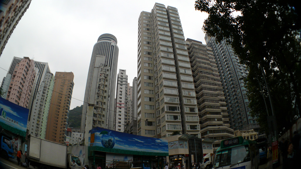 P1030856.jpg