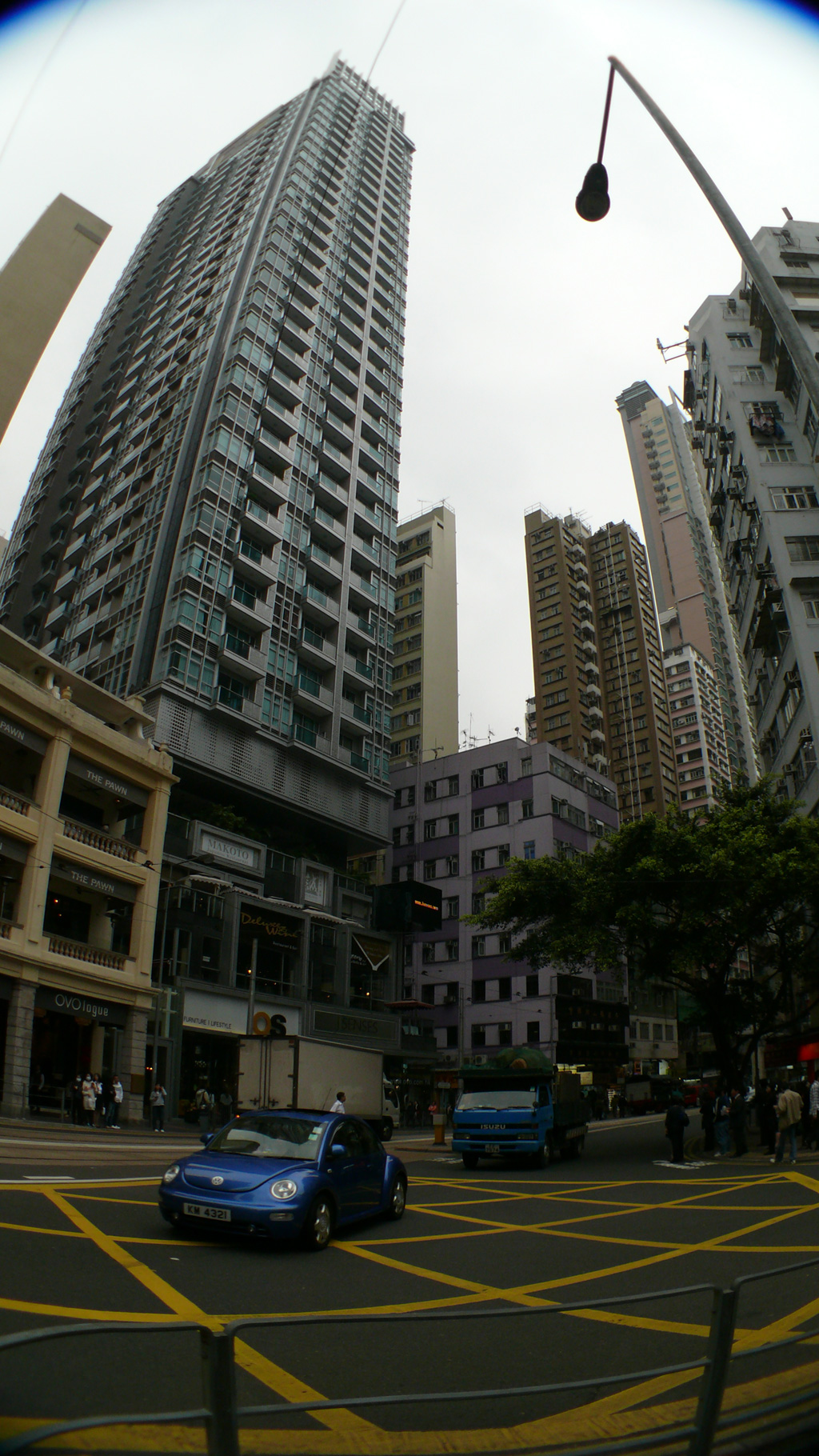 P1030859.jpg
