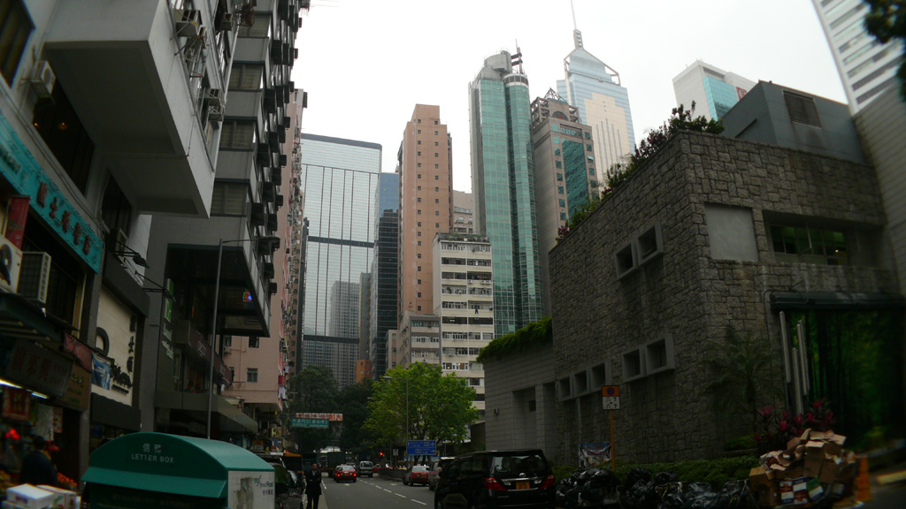 P1030860.jpg