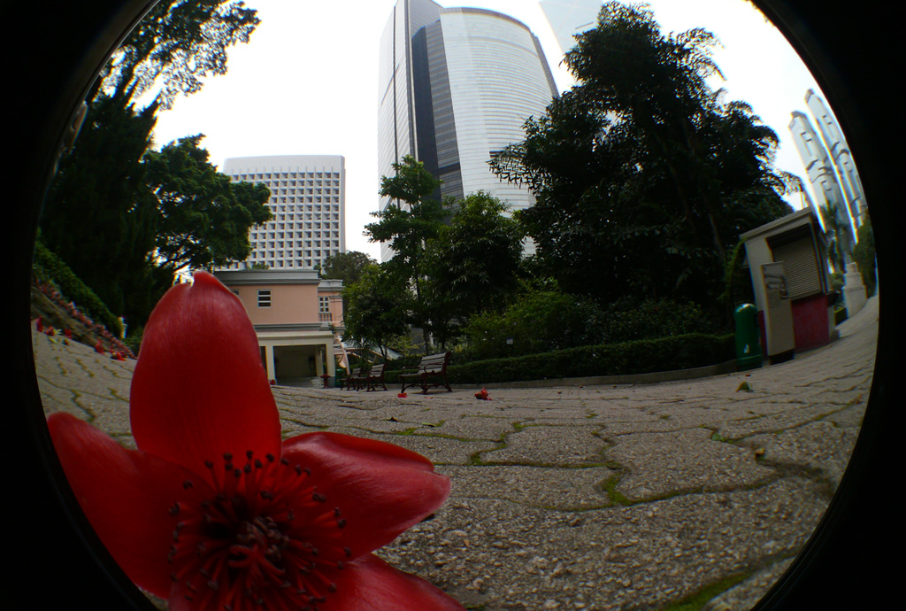 P1030943.jpg