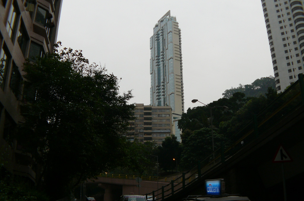 P1030969.jpg