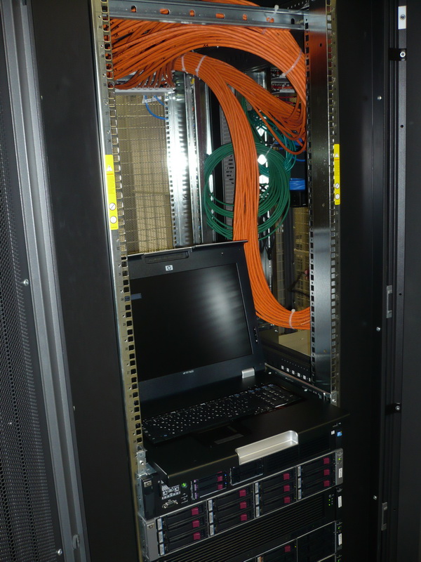 P1040391_crop.JPG