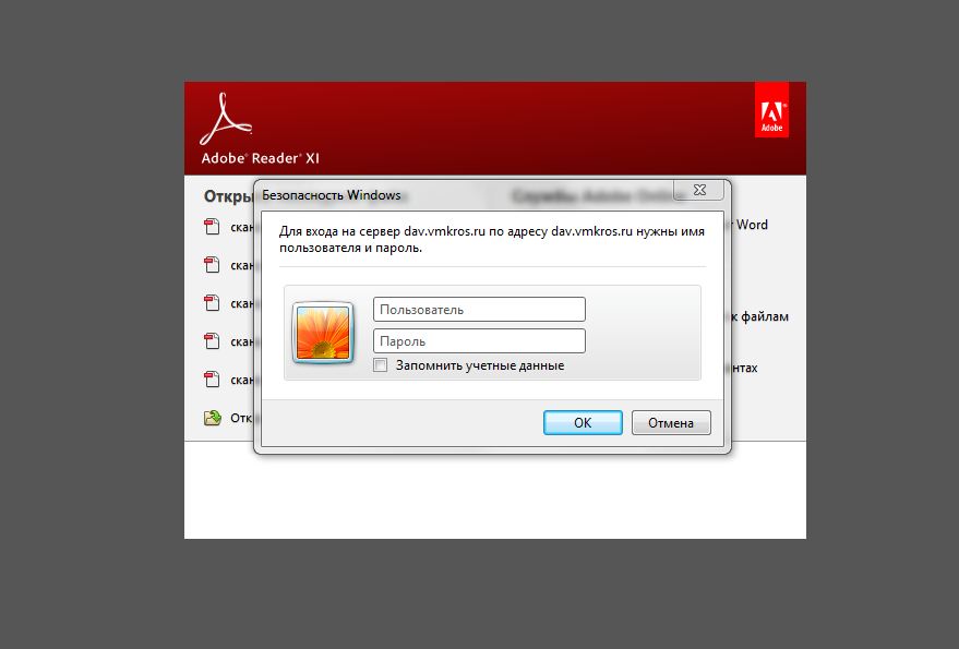 pdf.JPG