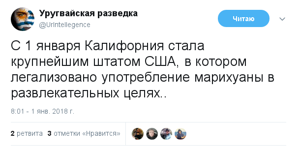 petr_narkoman.png