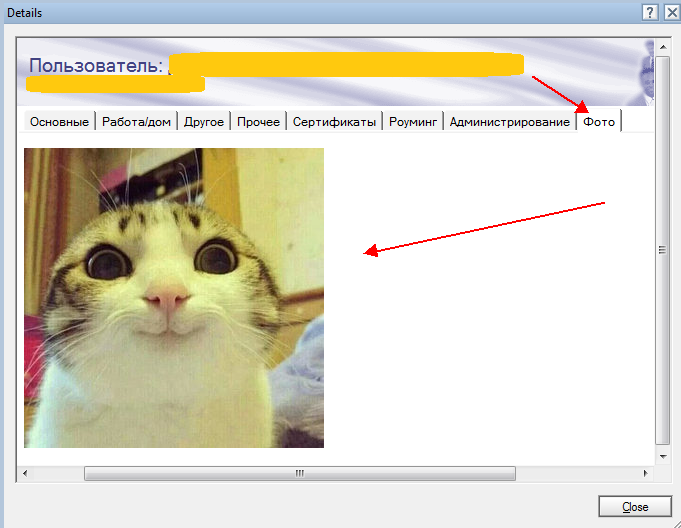 photo2.png