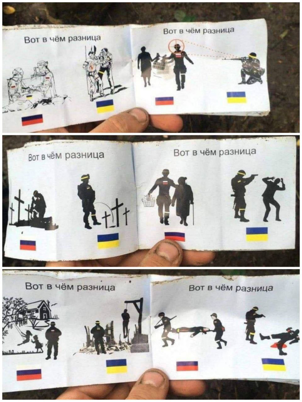 pido1.jpg