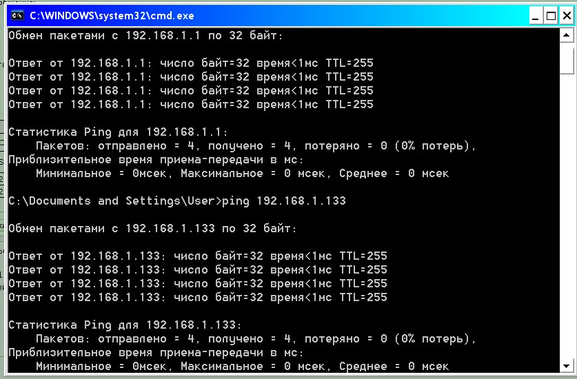 ping1_133.jpg