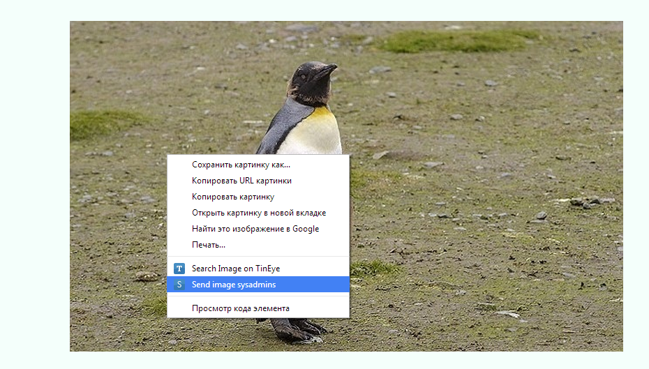 ping.png