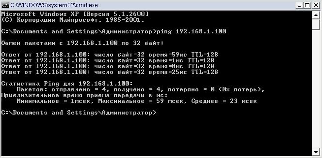 ping from netbook.jpg