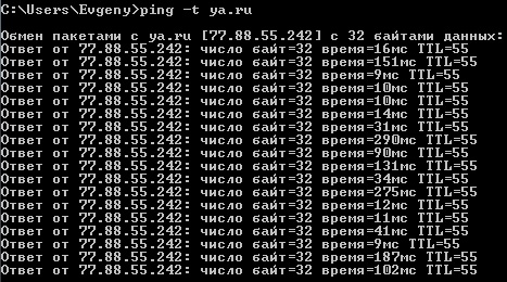 ping-t.jpg