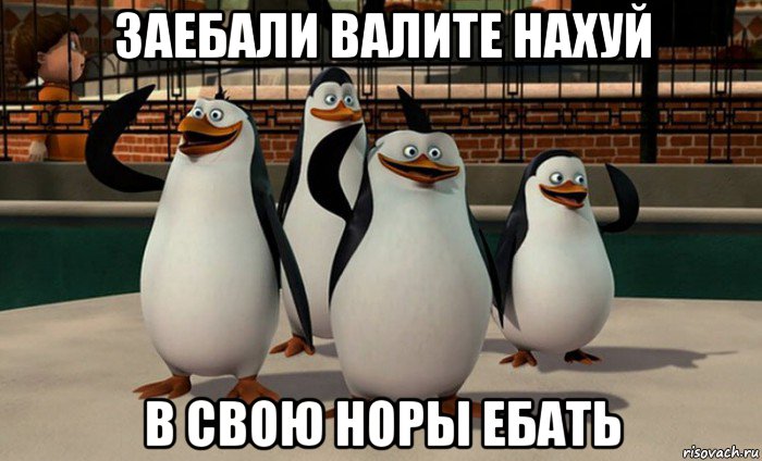 pingvin_244464062_orig_.jpg