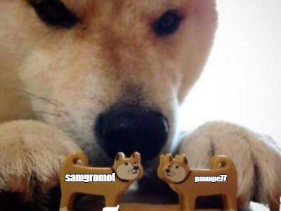 plasx.jpg