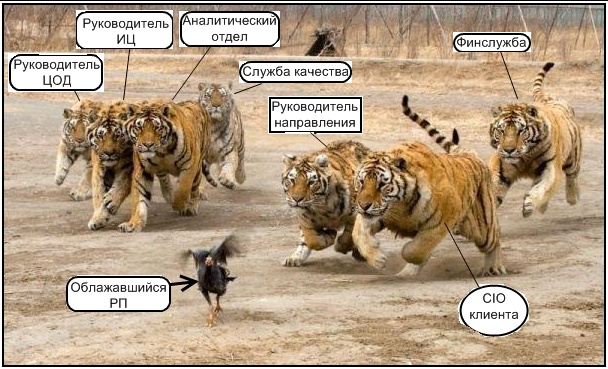 PM.jpg
