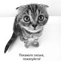 pokazhte.jpg