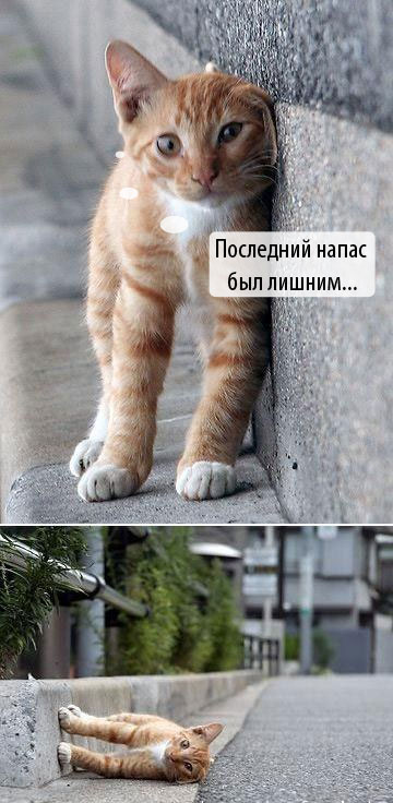 poslednij%20napas%20byl%20lishnim.jpg