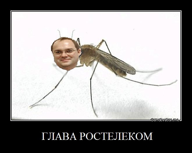 pravotorov.jpg
