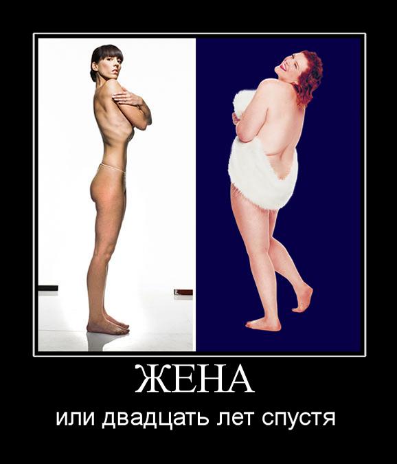 qq.jpeg