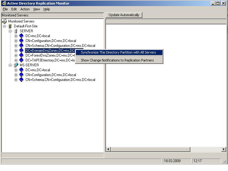 repl-1.JPG