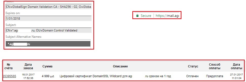sert.jpg