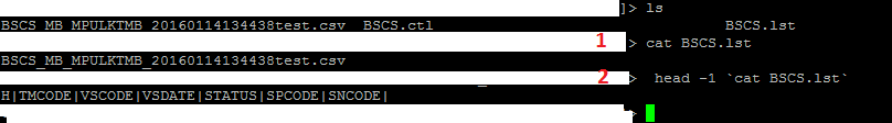 shellsc.png