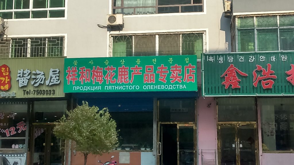 shop_1.JPG