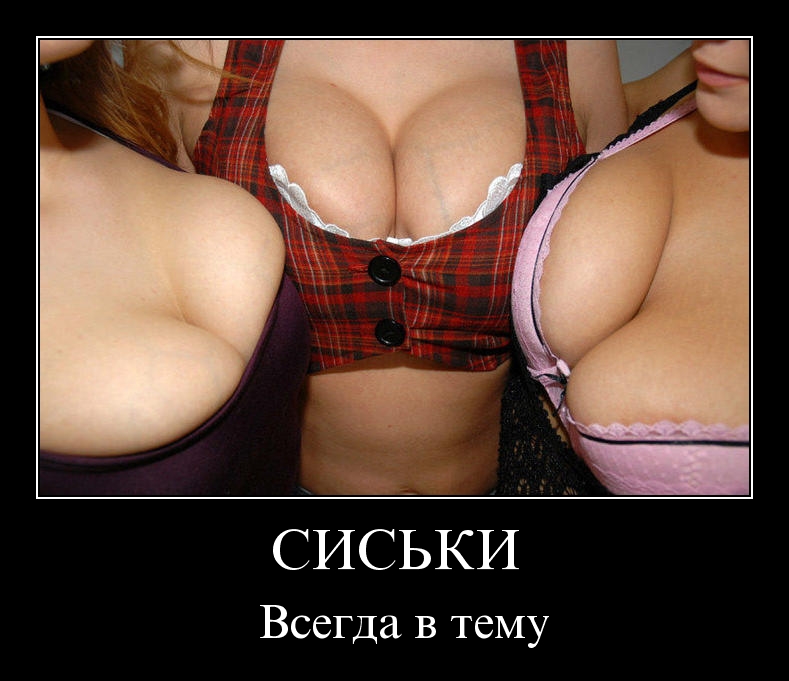 siski.jpg