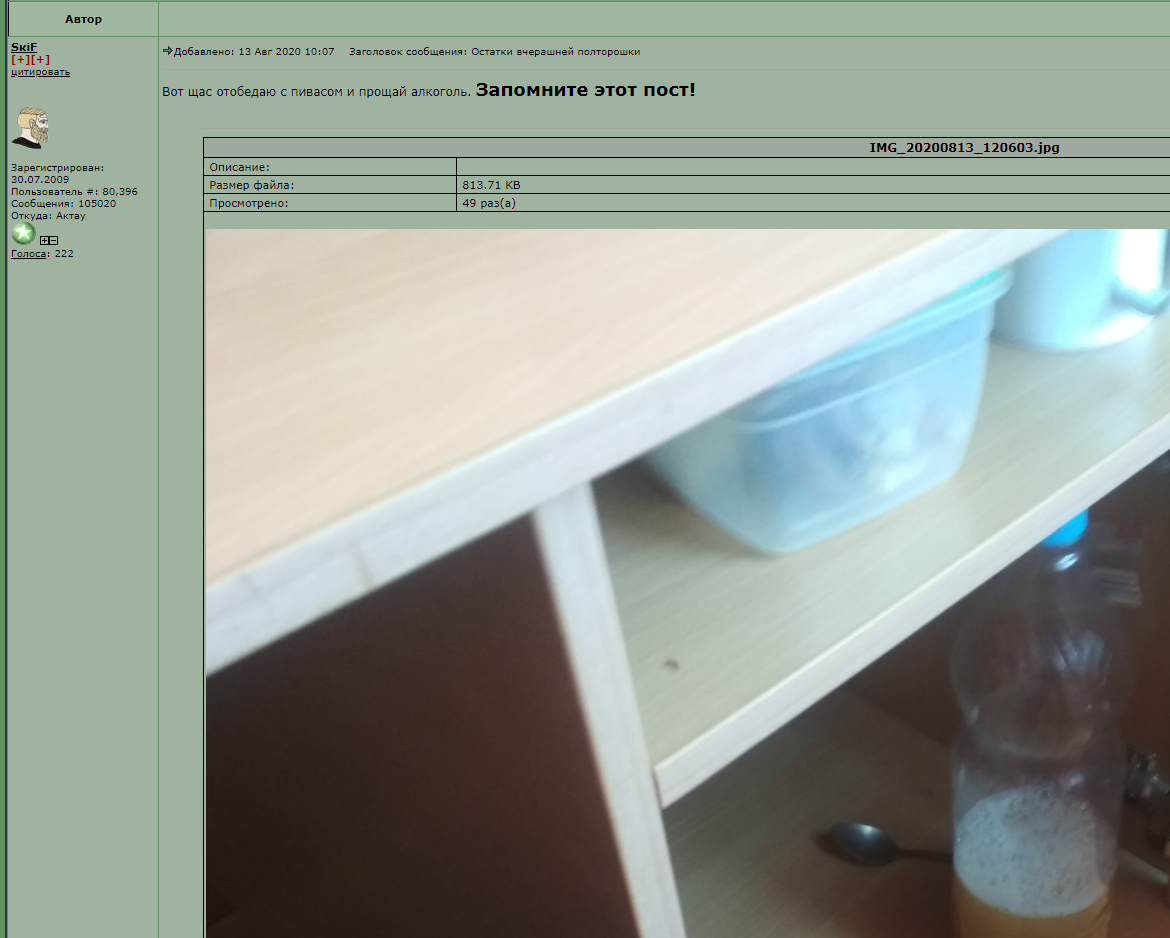 skif_alkopizdabol_130820.PNG