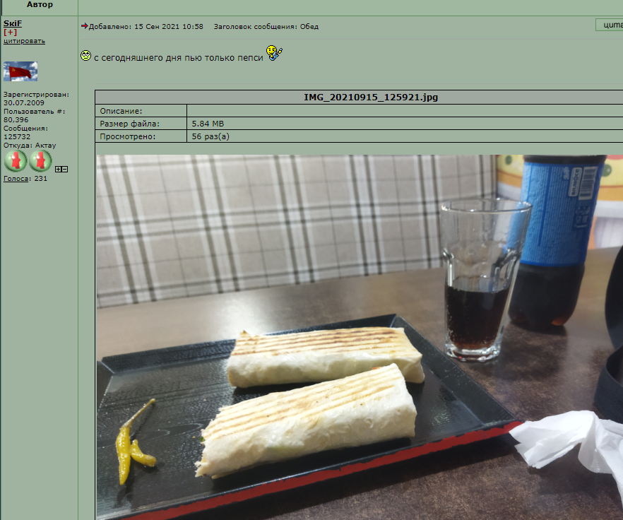 skif_alkopizdabol_150921.PNG