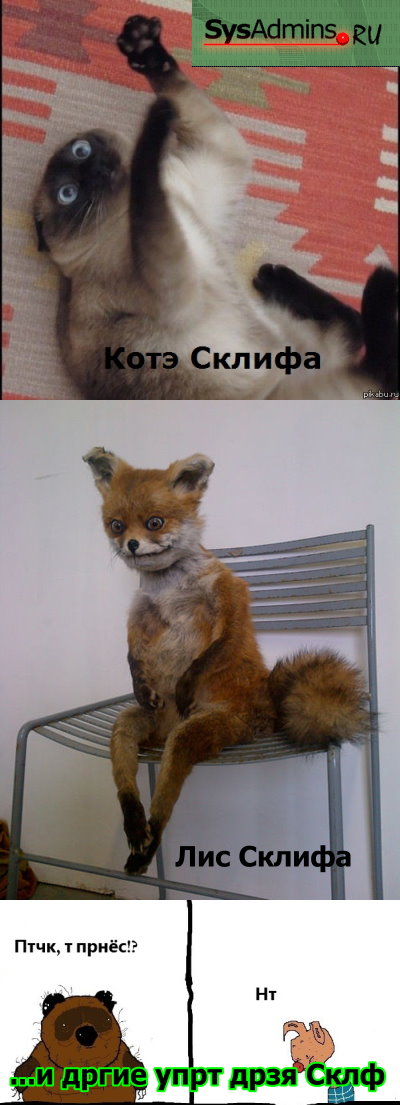 sklifi.jpg